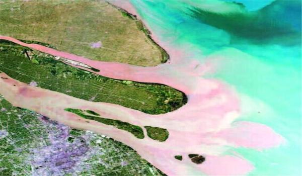 三角洲透视自瞄挂手游（给我三角洲行动辅助器的直接下载链接）